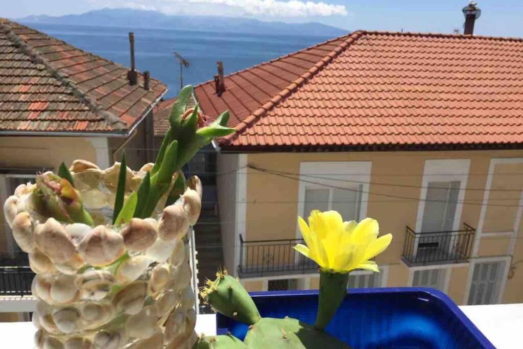 # Perfection Sea View Apartments Kavala Dış mekan fotoğraf